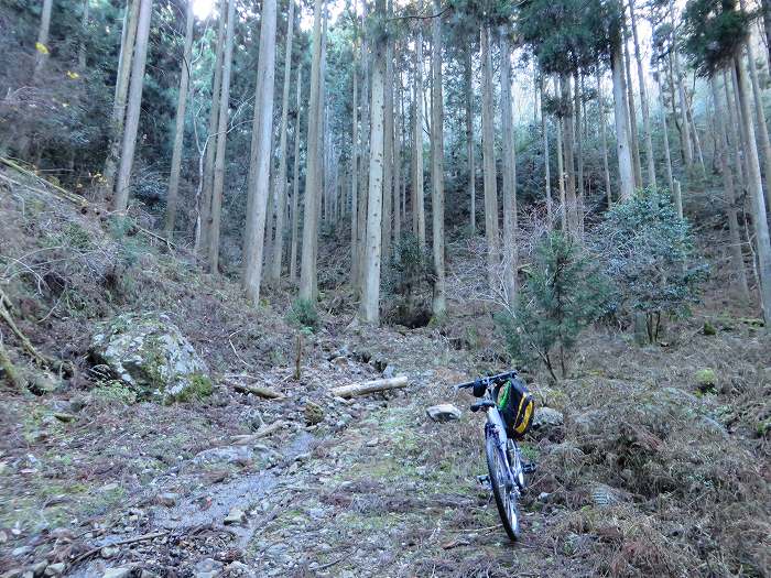 篠山市後川新田/丈山～辻/北中山～シドロ北峰～飛曽山を散策