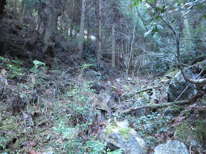 篠山市後川新田/丈山～辻/北中山～シドロ北峰～飛曽山を散策