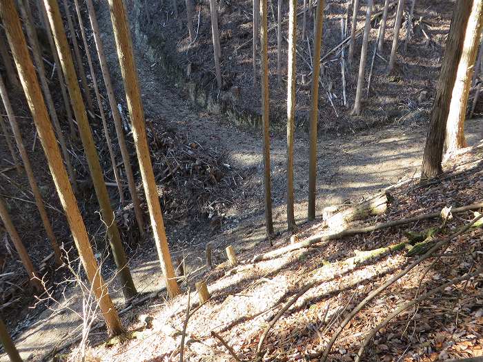 篠山市後川新田/丈山～辻/北中山～シドロ北峰～飛曽山を散策