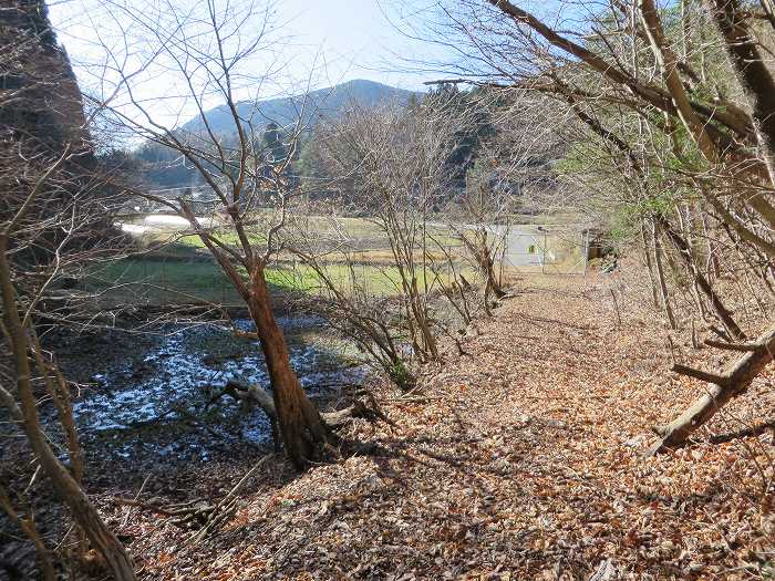 篠山市後川新田/丈山～辻/北中山～シドロ北峰～飛曽山を散策