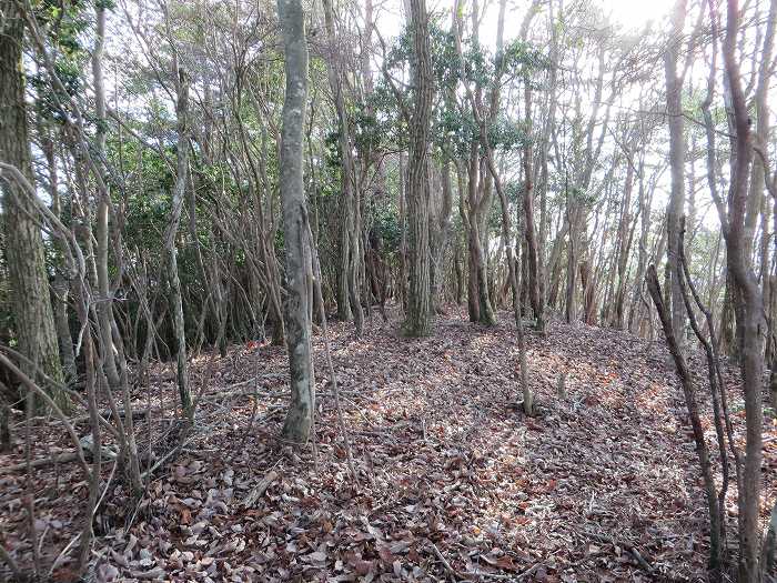 篠山市後川新田/丈山～辻/北中山～シドロ北峰～飛曽山を散策