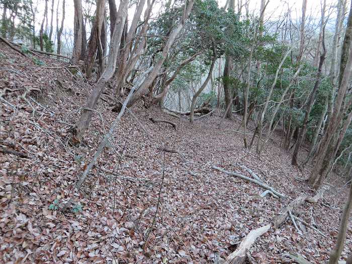 篠山市後川新田/丈山～辻/北中山～シドロ北峰～飛曽山を散策