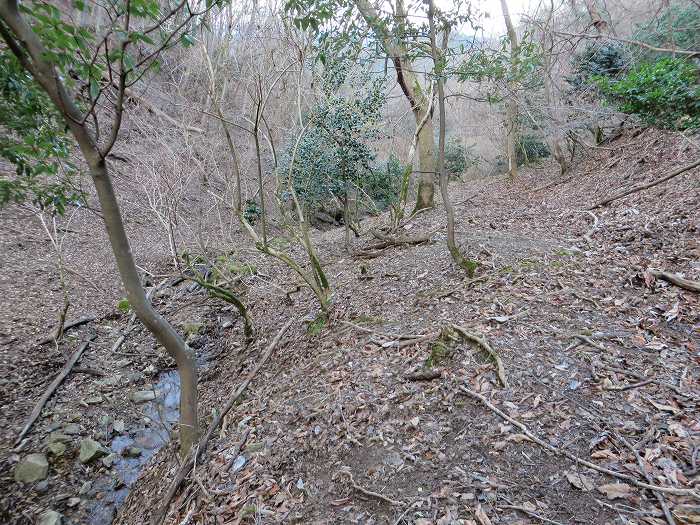 篠山市後川新田/丈山～辻/北中山～シドロ北峰～飛曽山を散策