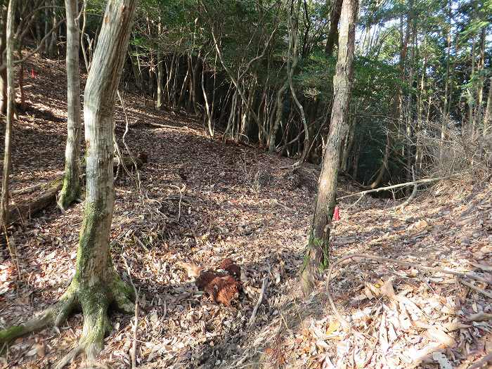 篠山市今田町黒石/中口山～机坂を散策