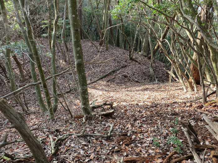 篠山市今田町黒石/中口山～机坂を散策