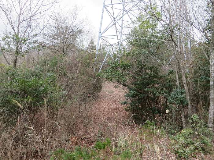 篠山市今田町黒石/中口山～机坂を散策