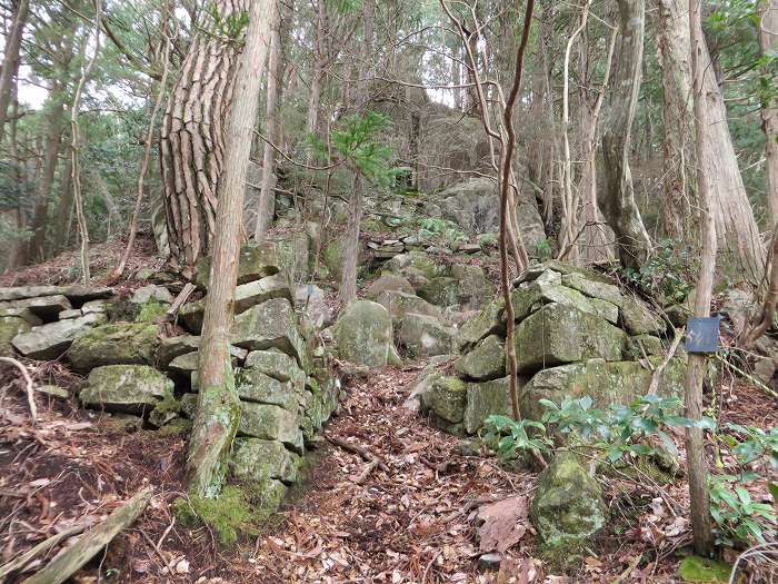 篠山市今田町黒石/中口山～机坂を散策