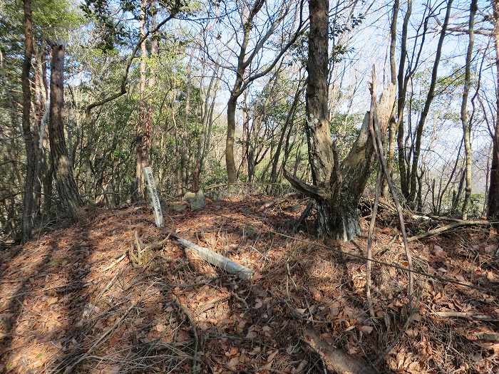 篠山市栗柄/倶利迦羅不動尊～定利山～高王山～二両池を散策