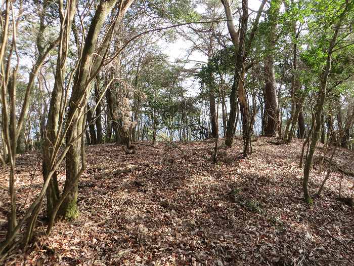 篠山市栗柄/倶利迦羅不動尊～定利山～高王山～二両池を散策