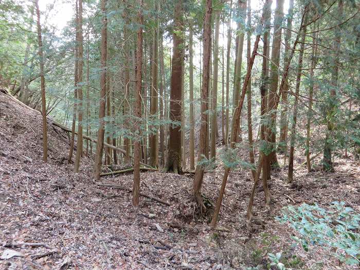 篠山市栗柄/倶利迦羅不動尊～定利山～高王山～二両池を散策