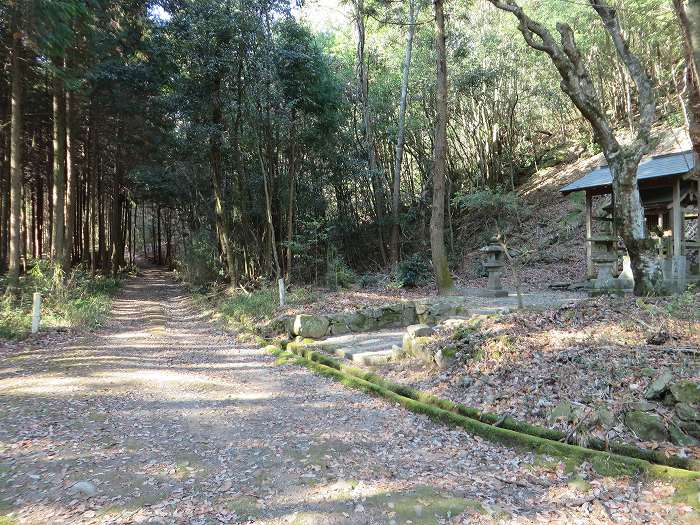 篠山市草野/八王子山～油井/大谷山～山上山を散策