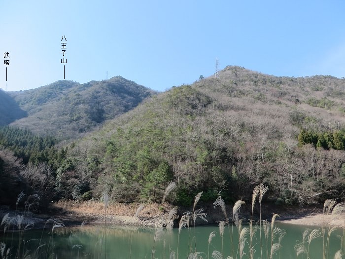 篠山市草野/八王子山～油井/大谷山～山上山を散策