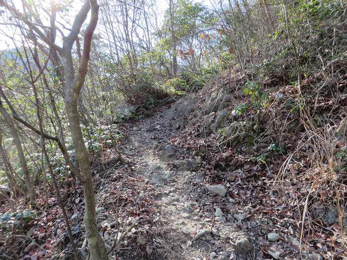 篠山市草野/八王子山～油井/大谷山～山上山を散策