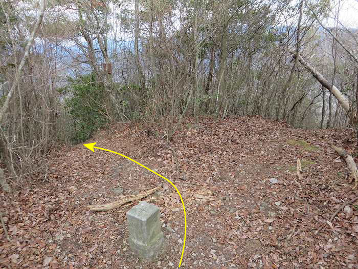 篠山市草野/八王子山～油井/大谷山～山上山を散策