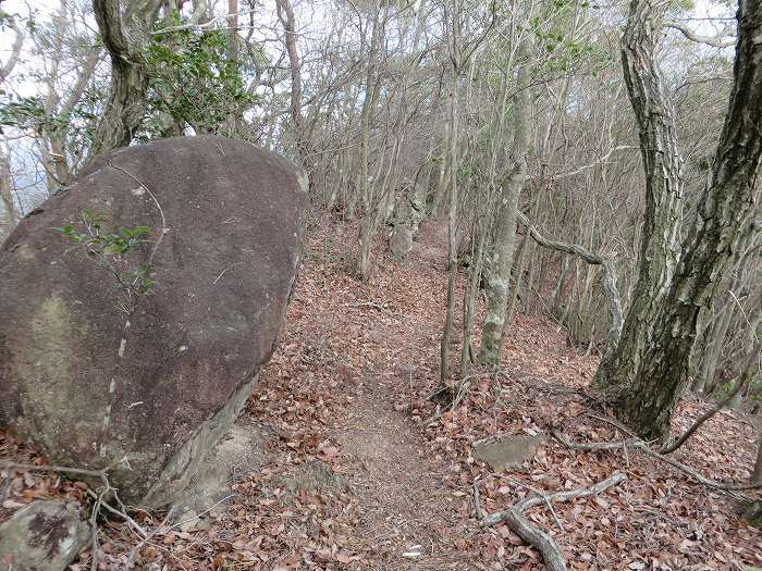 篠山市草野/八王子山～油井/大谷山～山上山を散策