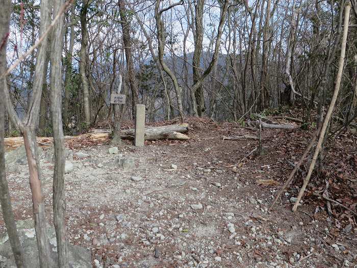 篠山市草野/八王子山～油井/大谷山～山上山を散策