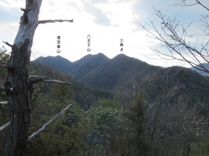 篠山市草野/八王子山～油井/大谷山～山上山を散策