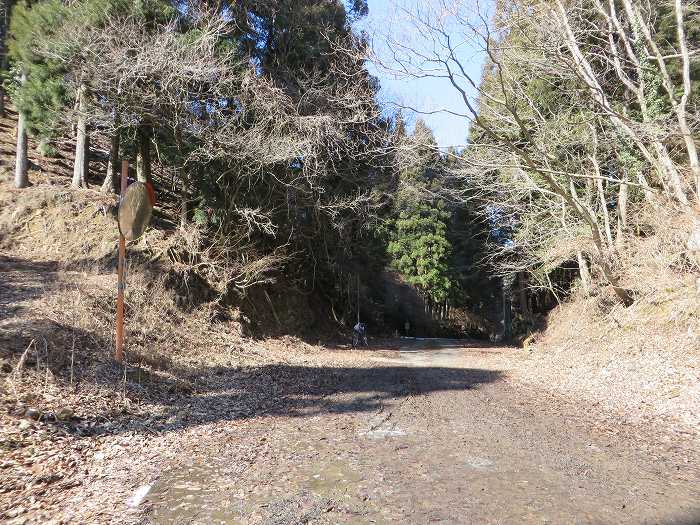 篠山市西野々/嶽筋・岩坂山～安口/安口城・西砦跡～辻/淀山城址を散策