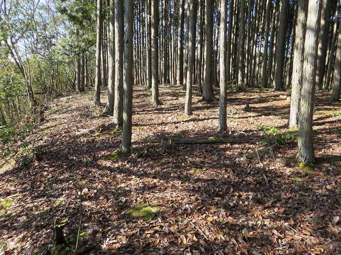 篠山市西野々/嶽筋・岩坂山～安口/安口城・西砦跡～辻/淀山城址を散策