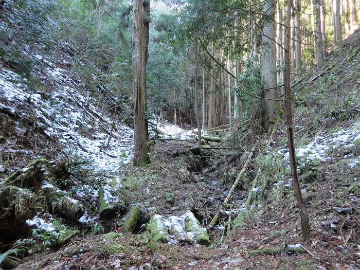 篠山市西野々/嶽筋・岩坂山～安口/安口城・西砦跡～辻/淀山城址を散策