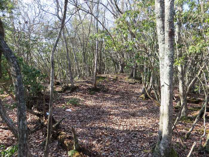 篠山市西野々/嶽筋・岩坂山～安口/安口城・西砦跡～辻/淀山城址を散策