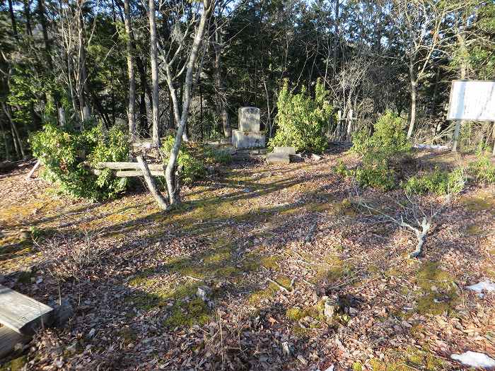 篠山市西野々/嶽筋・岩坂山～安口/安口城・西砦跡～辻/淀山城址を散策