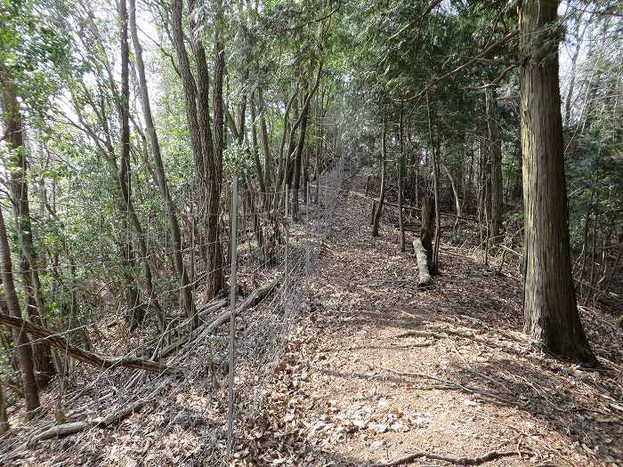 篠山市遠方/万燈山・鷹ノ巣山を散策