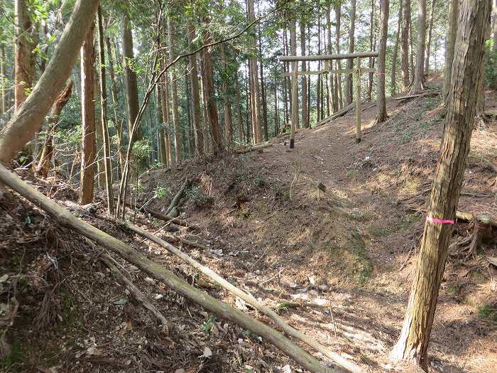 篠山市遠方/万燈山・鷹ノ巣山を散策