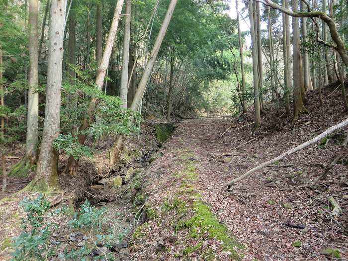 篠山市春日江/行者山を散策