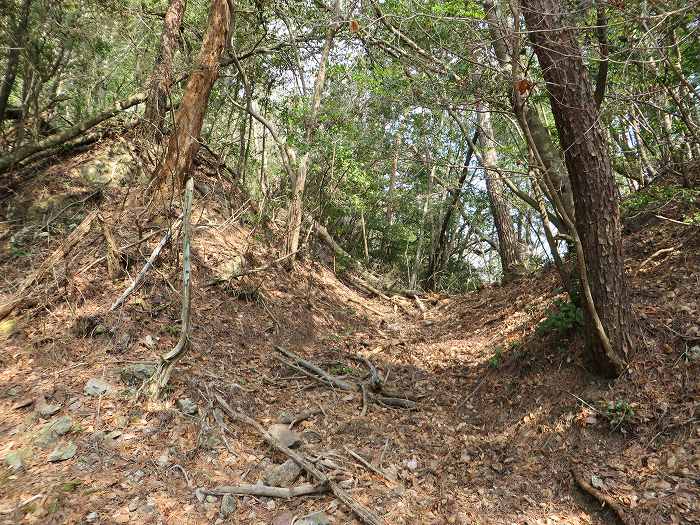 篠山市春日江/行者山を散策