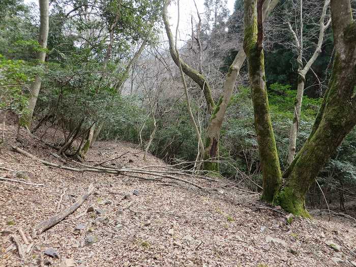 篠山市春日江/行者山を散策