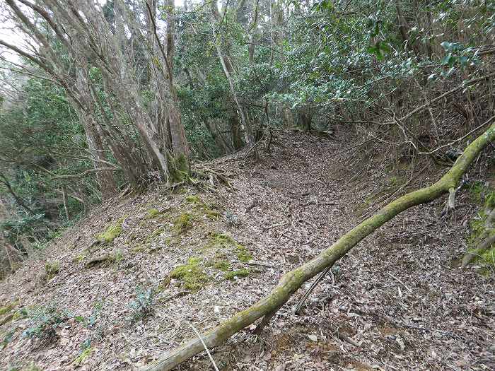 篠山市春日江/行者山を散策