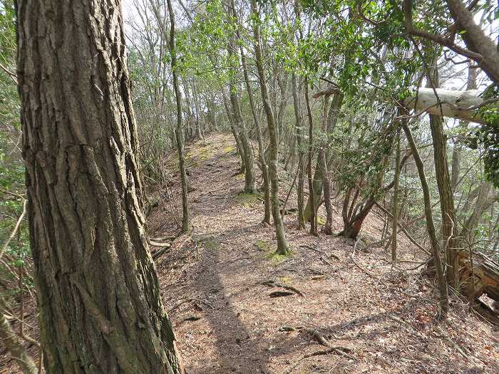 篠山市春日江/行者山を散策