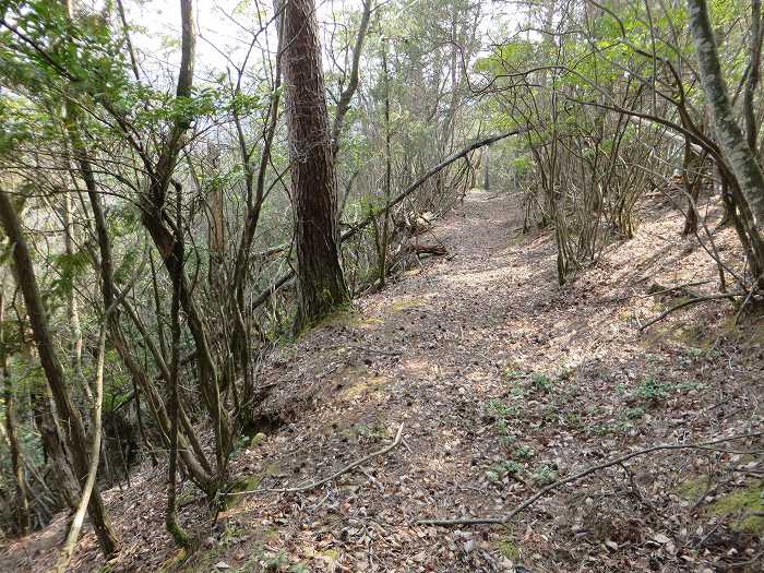 篠山市春日江/行者山を散策