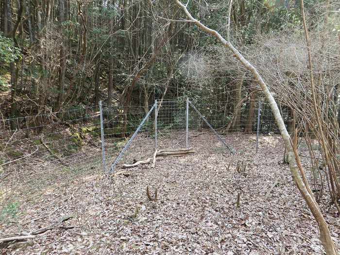 篠山市春日江/行者山を散策