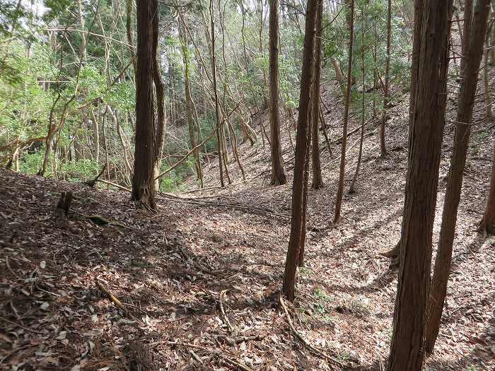 篠山市大藤/三国岳を散策