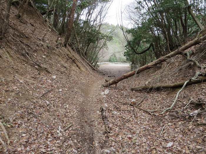 篠山市大藤/三国岳を散策