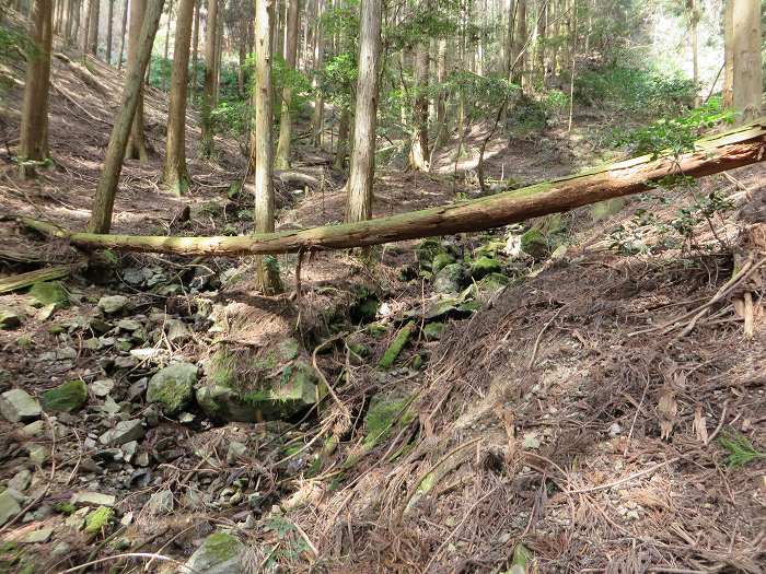 篠山市南矢代/音羽山～篠山市住山/松尾山を散策