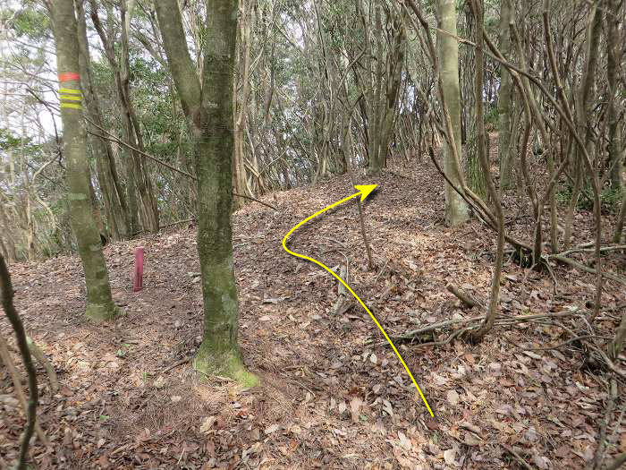 篠山市南矢代/音羽山～篠山市住山/松尾山を散策