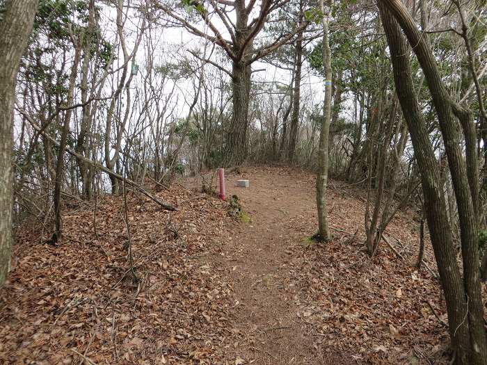 篠山市南矢代/音羽山～篠山市住山/松尾山を散策