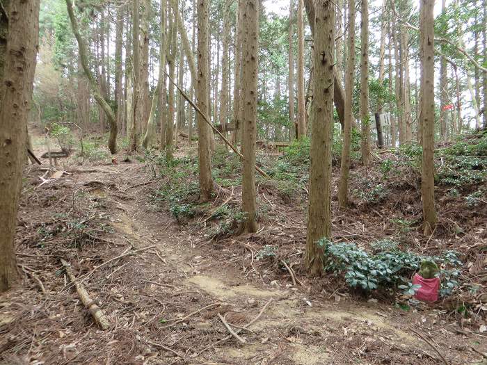 篠山市南矢代/音羽山～篠山市住山/松尾山を散策