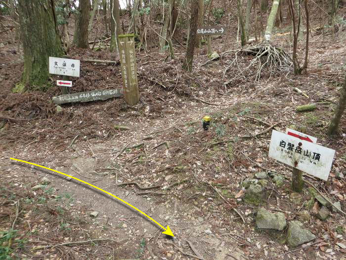 篠山市南矢代/音羽山～篠山市住山/松尾山を散策