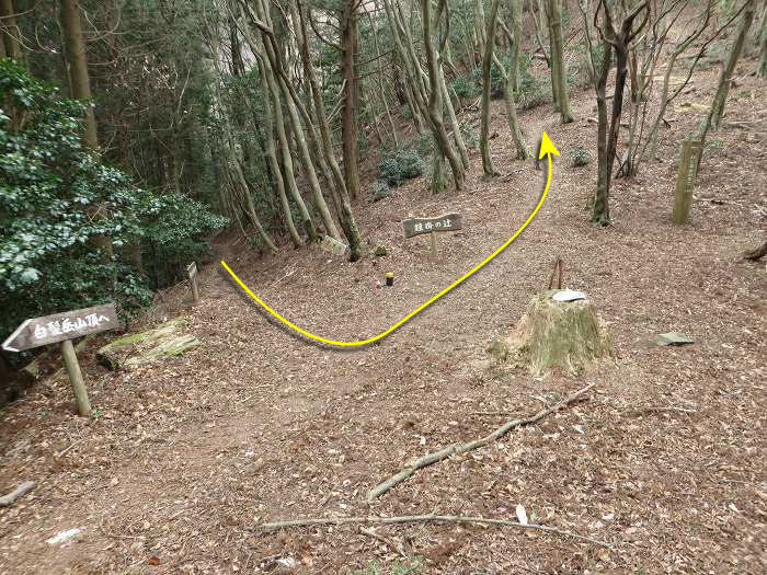 篠山市南矢代/音羽山～篠山市住山/松尾山を散策