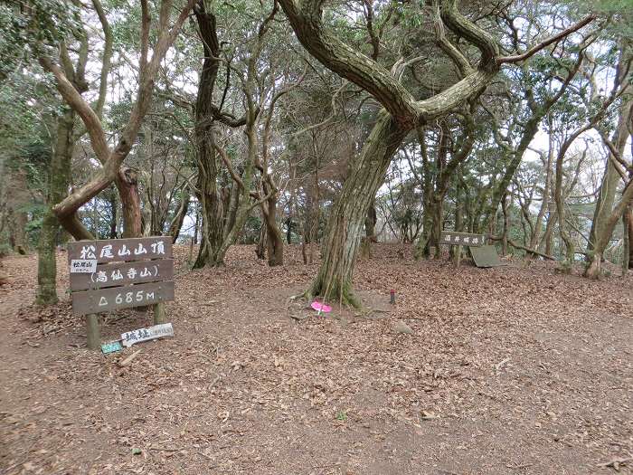 篠山市南矢代/音羽山～篠山市住山/松尾山を散策