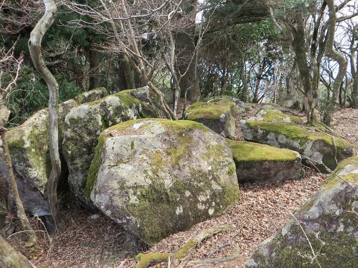 篠山市南矢代/音羽山～篠山市住山/松尾山を散策