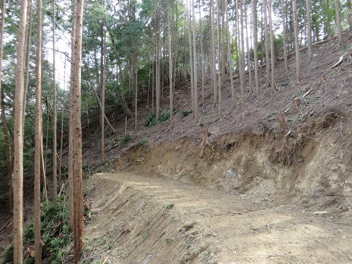 篠山市南矢代/音羽山～篠山市住山/松尾山を散策