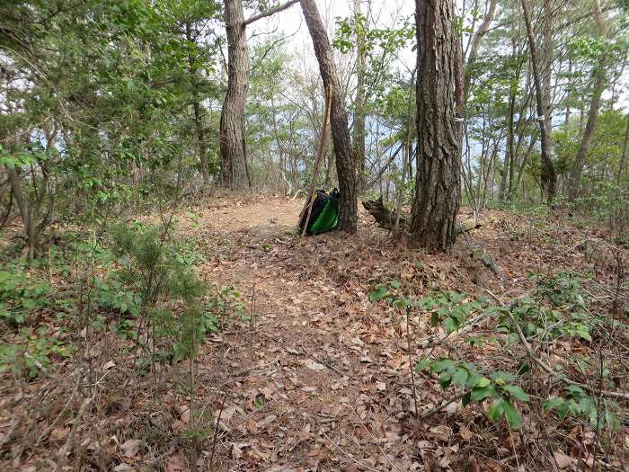 篠山市南矢代/音羽山～篠山市住山/松尾山を散策