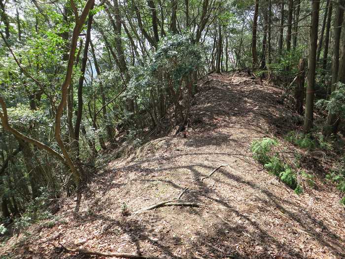 篠山市味間奥/ナースバシを散策