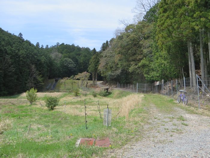 篠山市小立/清滝山～篠山市上筱見/新田山を散策