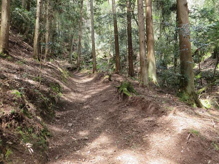 篠山市小立/清滝山～篠山市上筱見/新田山を散策